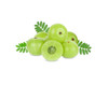 Some of the benefits of Indian Gooseberry in cosmetics.

High amounts of collagen contents in your skin help in skin firmness and make your skin appear soft. This amazing super fruit in topical cosmetics will boost vitamin C levels and helps increase the production of collagen level in your skin. This ingredient is proven to make your skin look soft and youthful.

Very rich in antioxidants that help to reduce signs of premature ageing, like wrinkles and fine lines. It reduces pigmentation or dark spots on skin and restores a natural glow on your face. The vitamins in gooseberry  will help to boost the production of collagen, which in turn helps to keep your skin smooth and young. In short,  topical cosmetics formulated with Indian gooseberry  can leave your skin looking youthful and radiant.