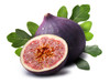Some of the amazing benefits of Fig extracts in cosmetics.

Along with being an antioxidant, fig has been shown to enhance skin's hydration by preventing water loss from skin's uppermost layers. It can also visibly improve skin color by addressing an enzyme in skin (tyrosinase) whose overproduction can lead to dark spots.

Fig, also known as Ficus carica, is an Asian species of flowering plant. They possess high concentrations of polyphenols, flavonoids, anthocyanins, omega fatty acids and vitamins, including vitamin A, B1, and B2.  Figs are most prominently known for their antioxidant effects, which are provided by the polyphenols, flavonoids, and anthocyanins. These antioxidant properties help to neutralize radicals that are present in the environment. Fig extract for skin care purposes is most commonly administered topically.
