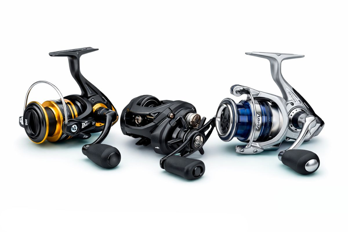 Best Daiwa fishing reels including BG, Tatula, and Regal