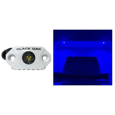 Black Oak White Housing Blue Rock Accent Light