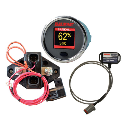 Balmar SG210 Battery Monitor Kit with Display