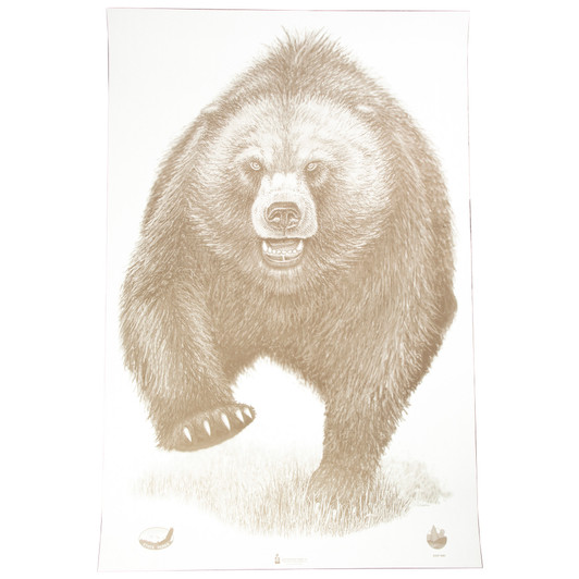 Action Target Alaska Parks Bear 23 x 35 in 100-Pack Targets