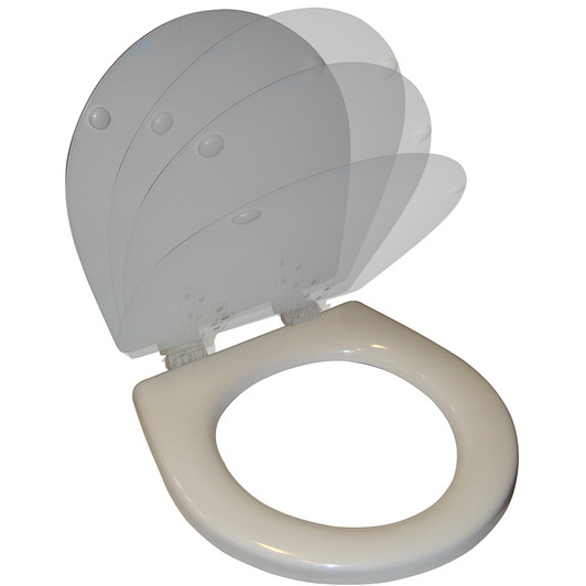 Raritan White Slow Close Toilet Seat and Cover
