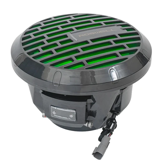 Roswell 10in Black Marine Subwoofer 250W RMS