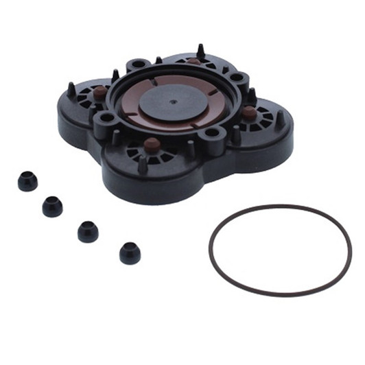 Jabsco Viton Check Valve Kit for Diaphragm Pump