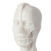 Axis Scientific Female Anatomical Sculpting Model with Muscles Facial Close Up - Half Exposed Muscle and Half Typical Face
