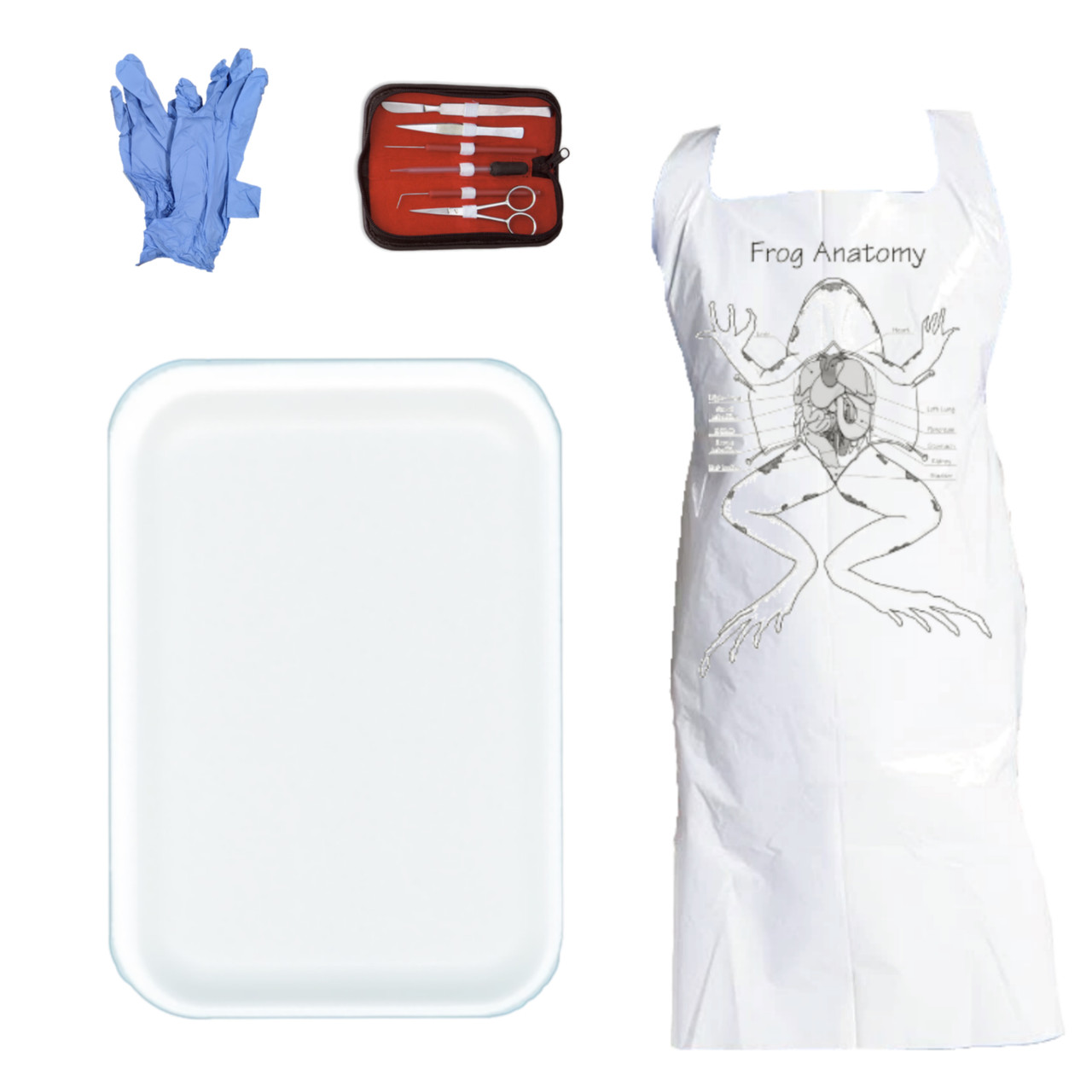 Hands-On Dissection & Practice Set