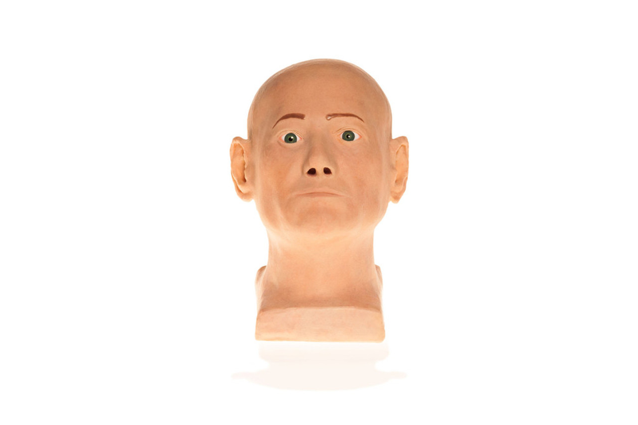 SimSkin Head Training Model - Cosmo Head | Anatomy Warehouse