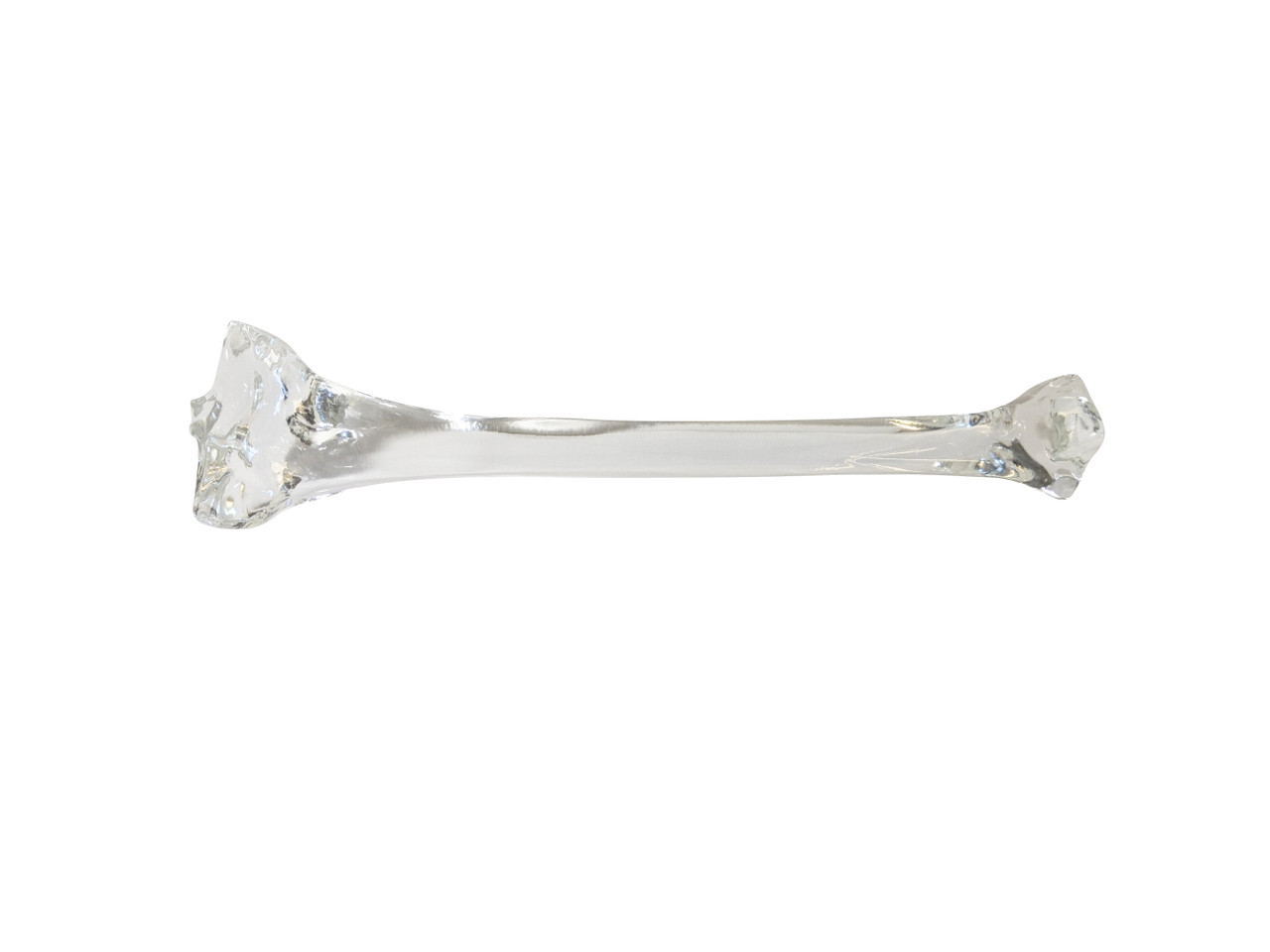 FlexBone Training Model - Tibia Bone