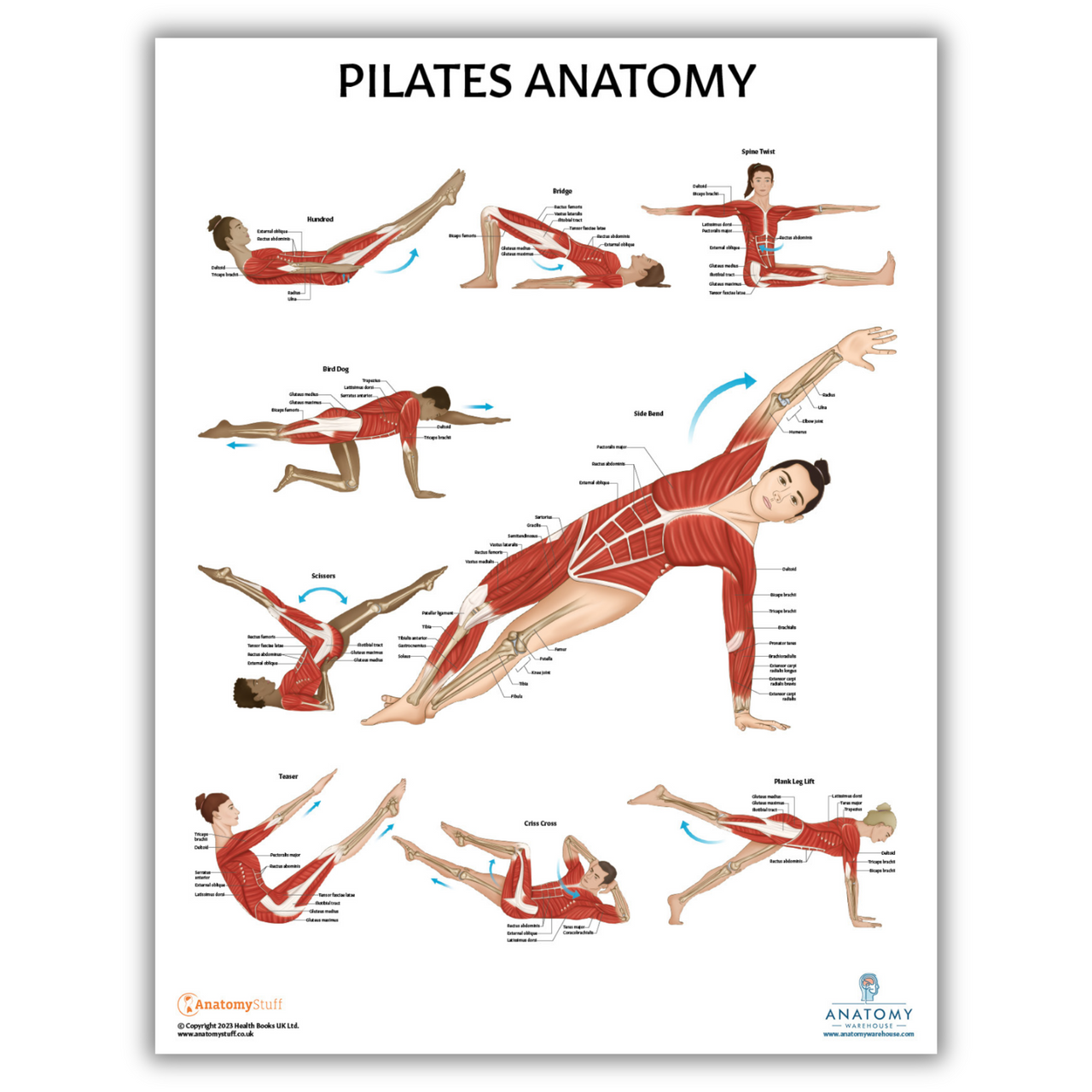 Pilates Workout Poster Fitness Training Chart Exercise Poster PRINT  LAMINATED