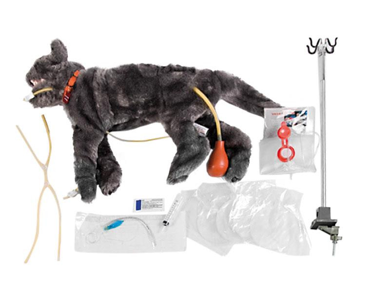 VET4110_800x800__88166.