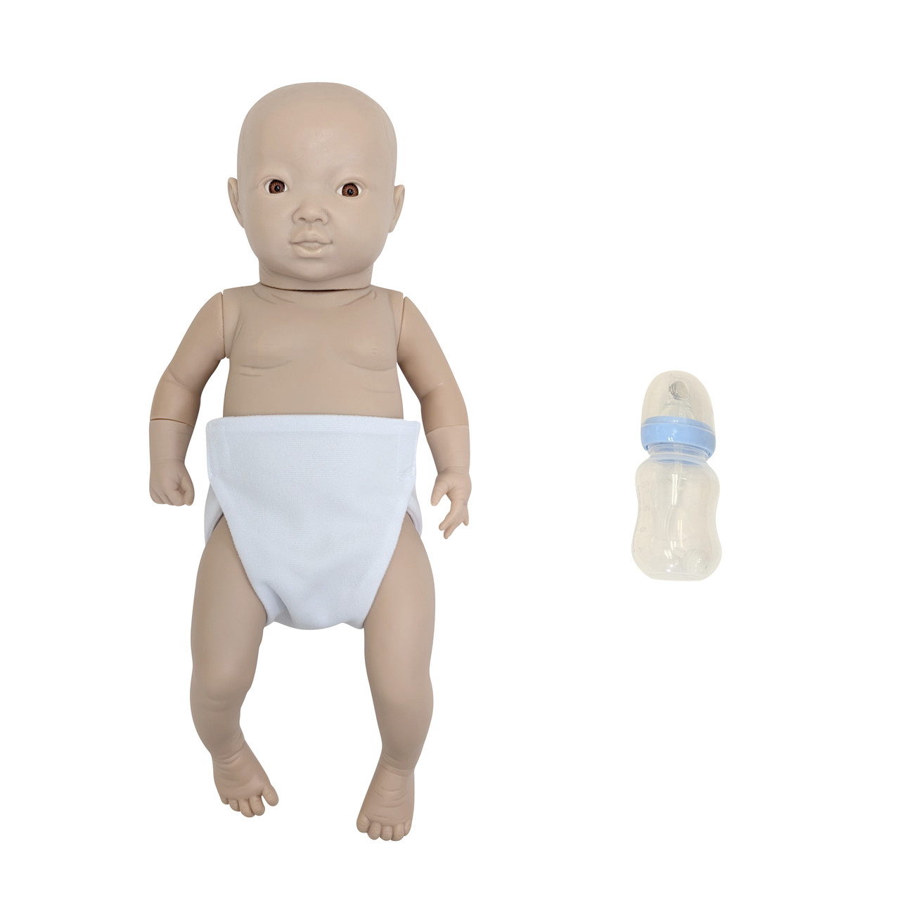 Anatomy Lab Intelligent Baby (Boy) Anatomy Warehouse