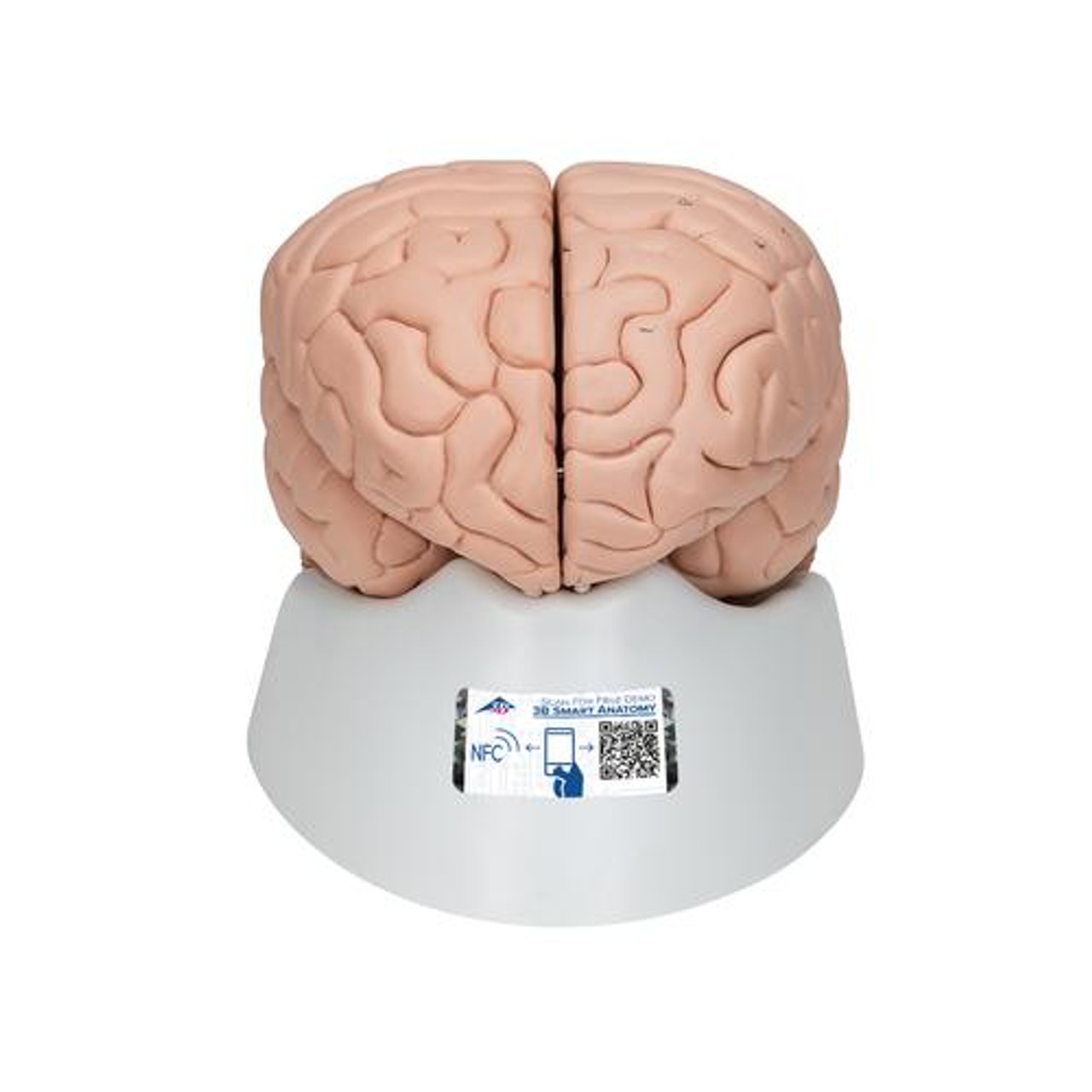 Mr. Fingers Cerebral Hemispheres 3LP 極美品 CEREBRAL HEMISPHERES (3LP VINYL)/MR.FINGERS/ミスター