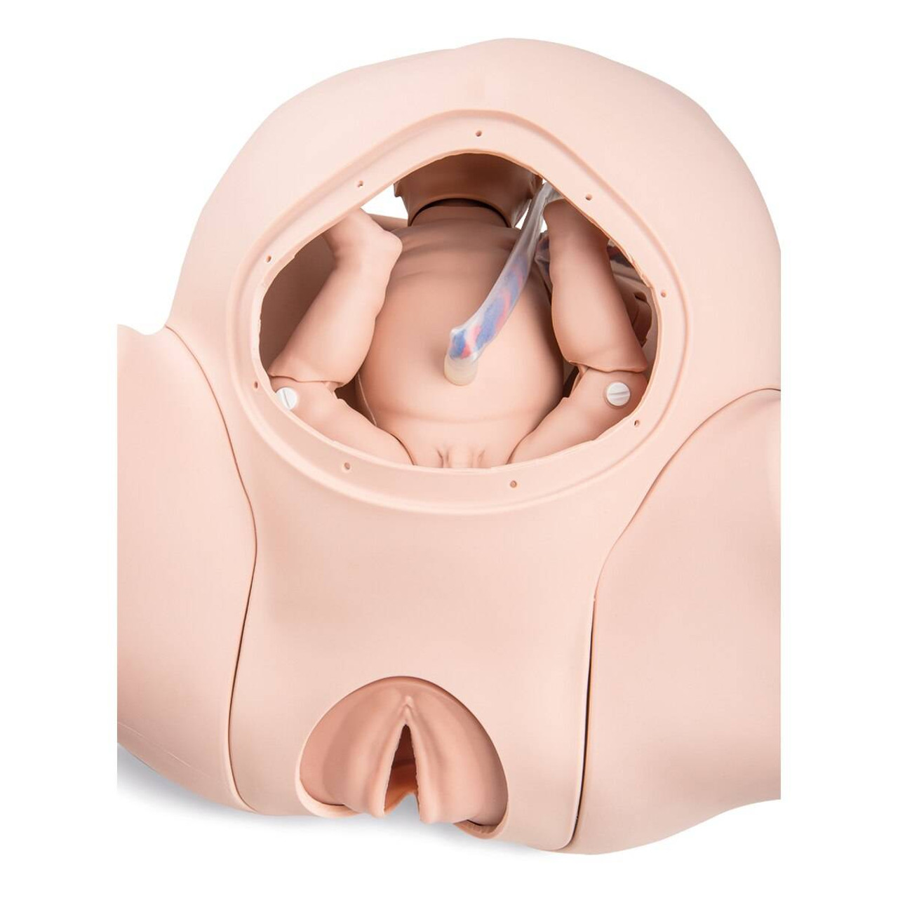 Advanced Childbirth Simulator with fetus placenta for obstetrics Training  Manikin