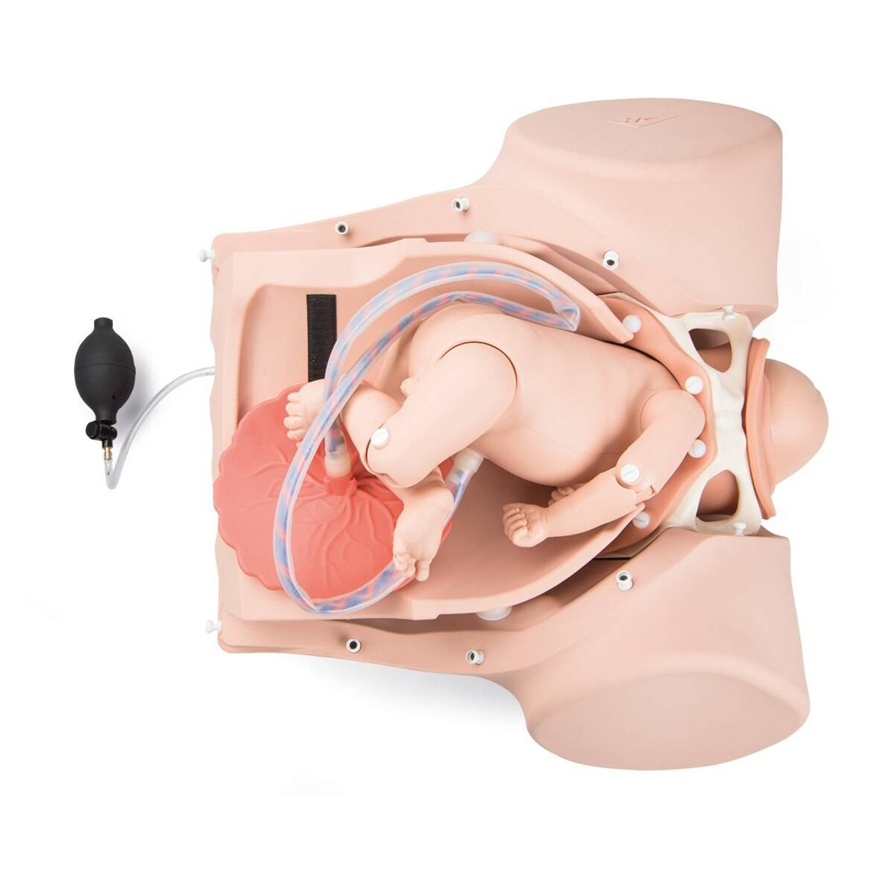 Advanced Childbirth Simulator with fetus placenta for obstetrics Training  Manikin