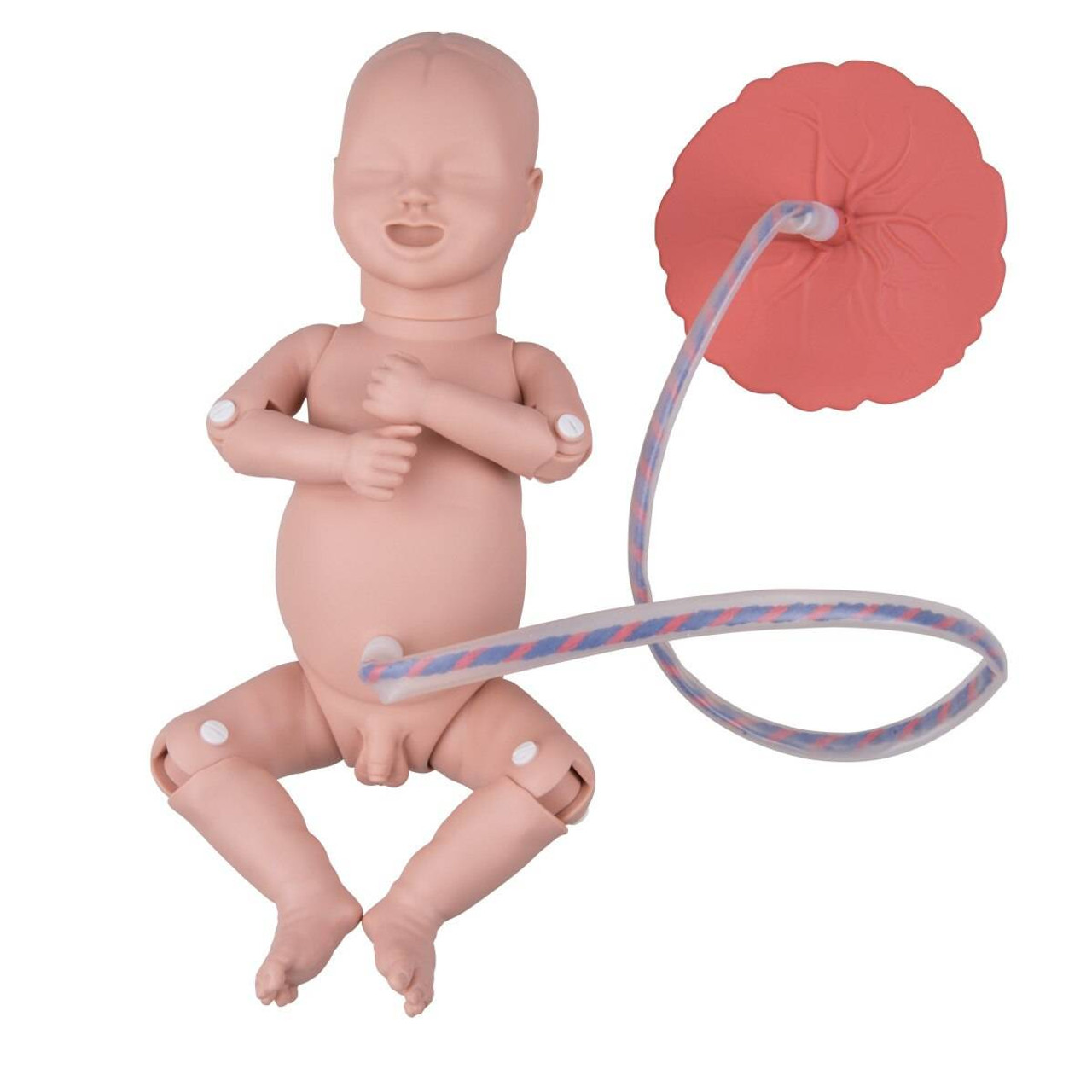 Advanced Childbirth Simulator with fetus placenta for obstetrics Training  Manikin