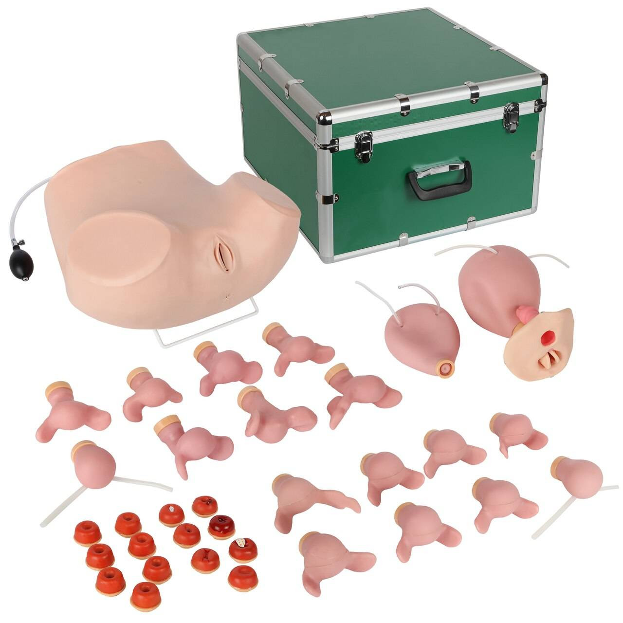 American CPR Training®  Advanced Childbirth Simulator - LifeForm