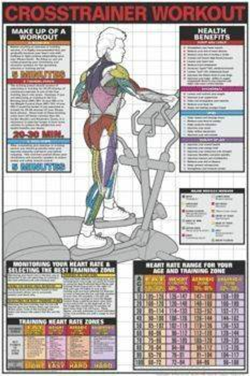 meer is genoeg Hertellen Anatomy Chart Crosstrainer Workout