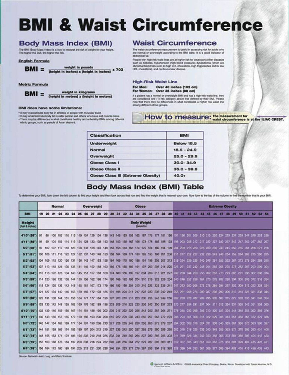 BMI and Waist Circumference Laminated Chart