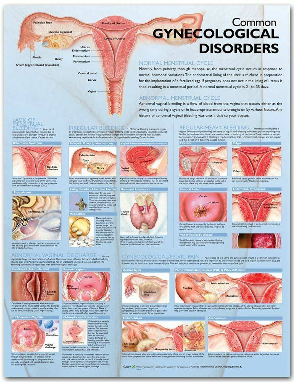 ovulation discharge chart