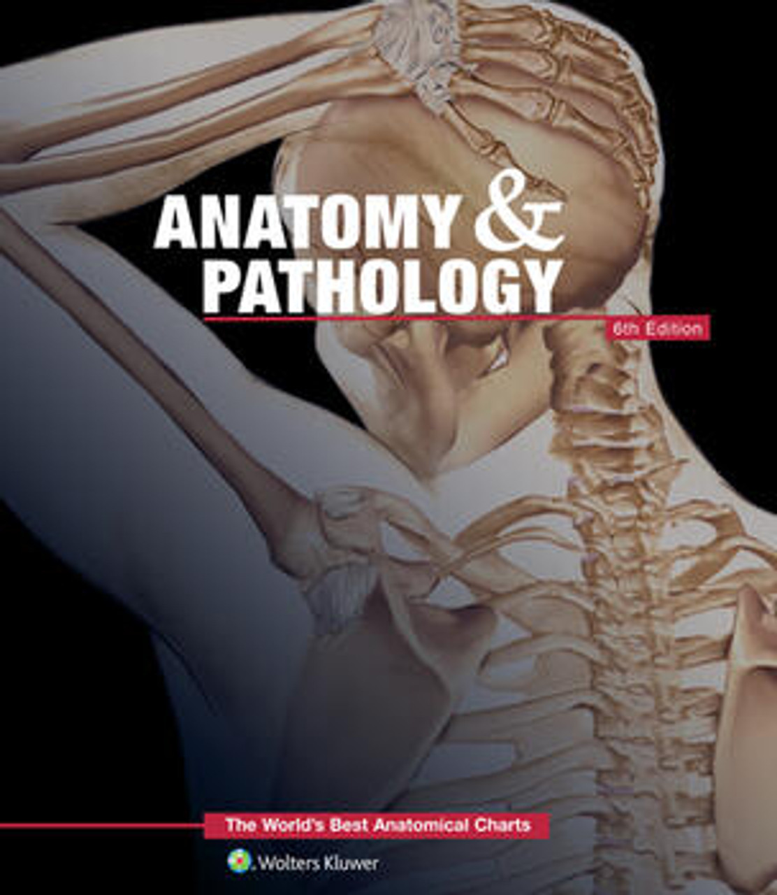 The World's Best Anatomical Charts 3冊セット The World's Best Anatomical Charts : A Collection of 37
