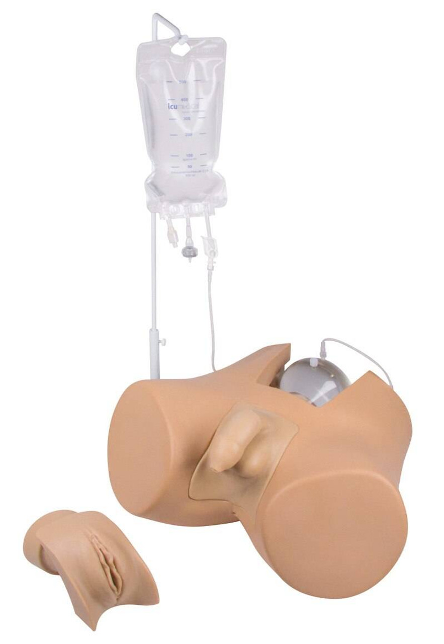 Henri and Florence Dual Sex Catheterization Trainer