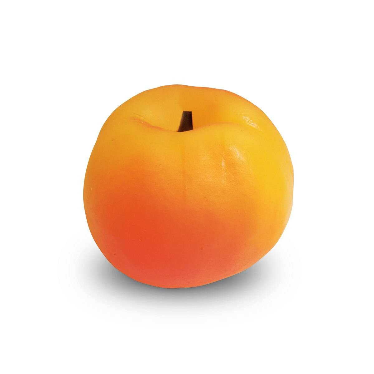Nasco Healthcare Peach Food Replica - Fresh | Anatomy Warehouse