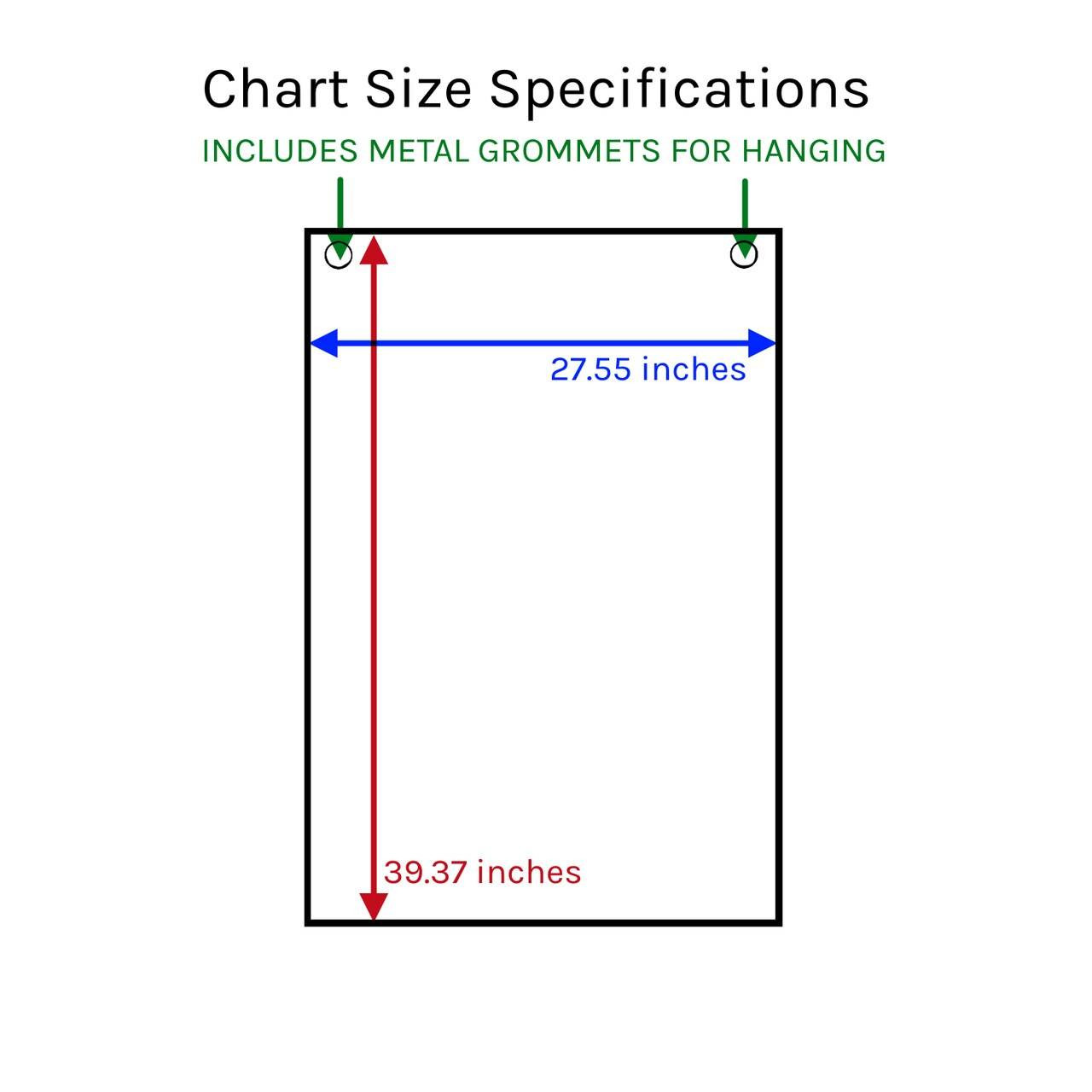 Understanding Breast Cancer 3E Laminated (Wallchart)