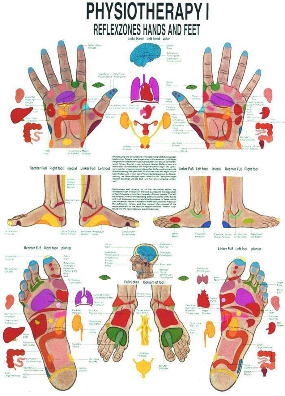 Hand chart palm Hand chart palm