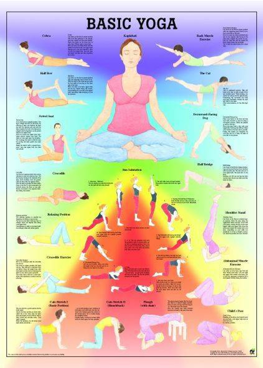 Vive Health Yoga Poses Poster – HelpMedicalSupplies