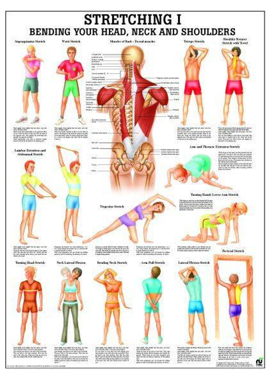 basic stretching chart