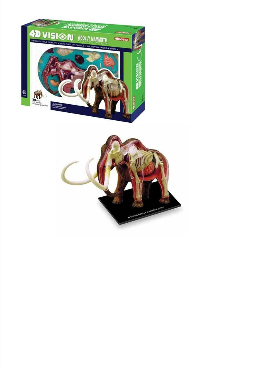 Anatomy Model Wooly Mammoth Puzzle 4D