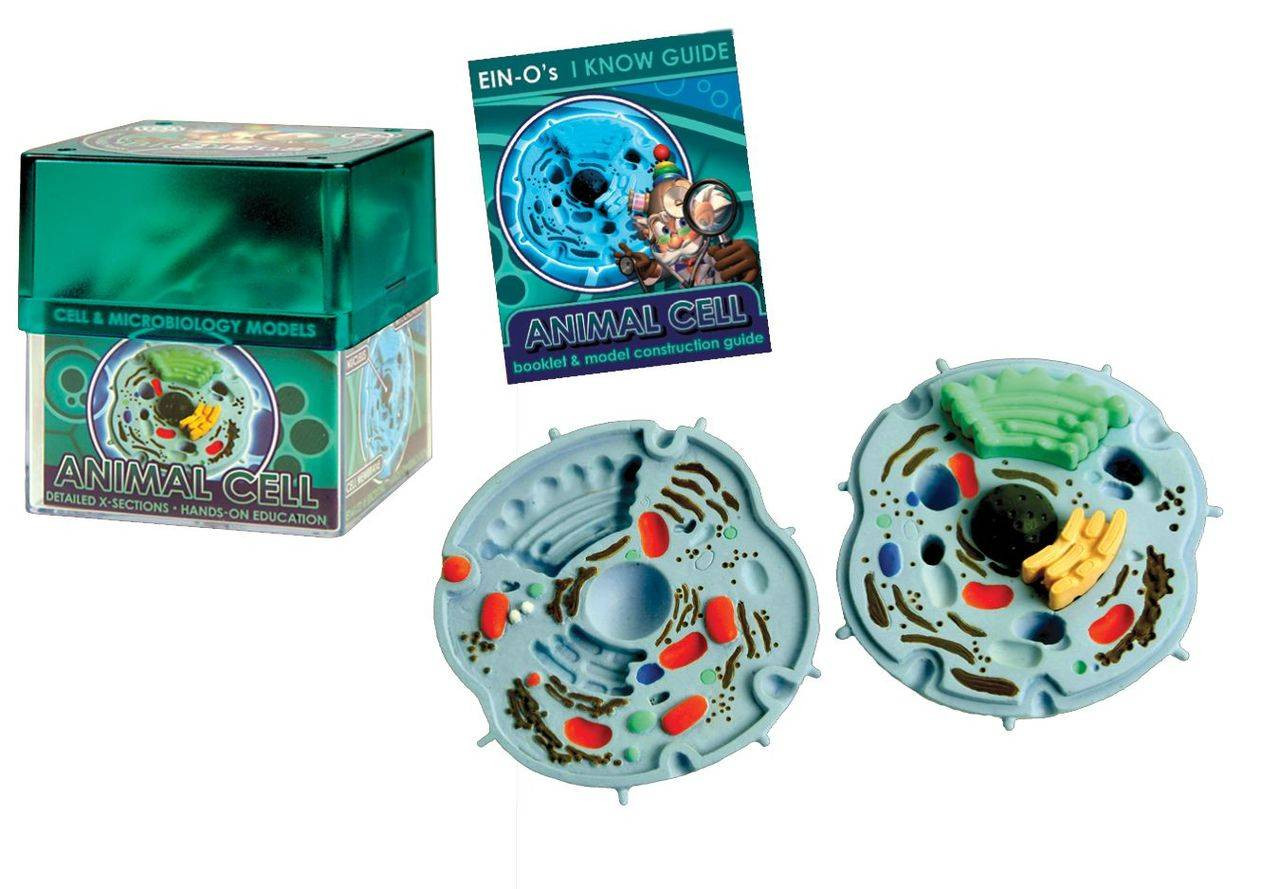 Tedco Toys Animal Cell Model