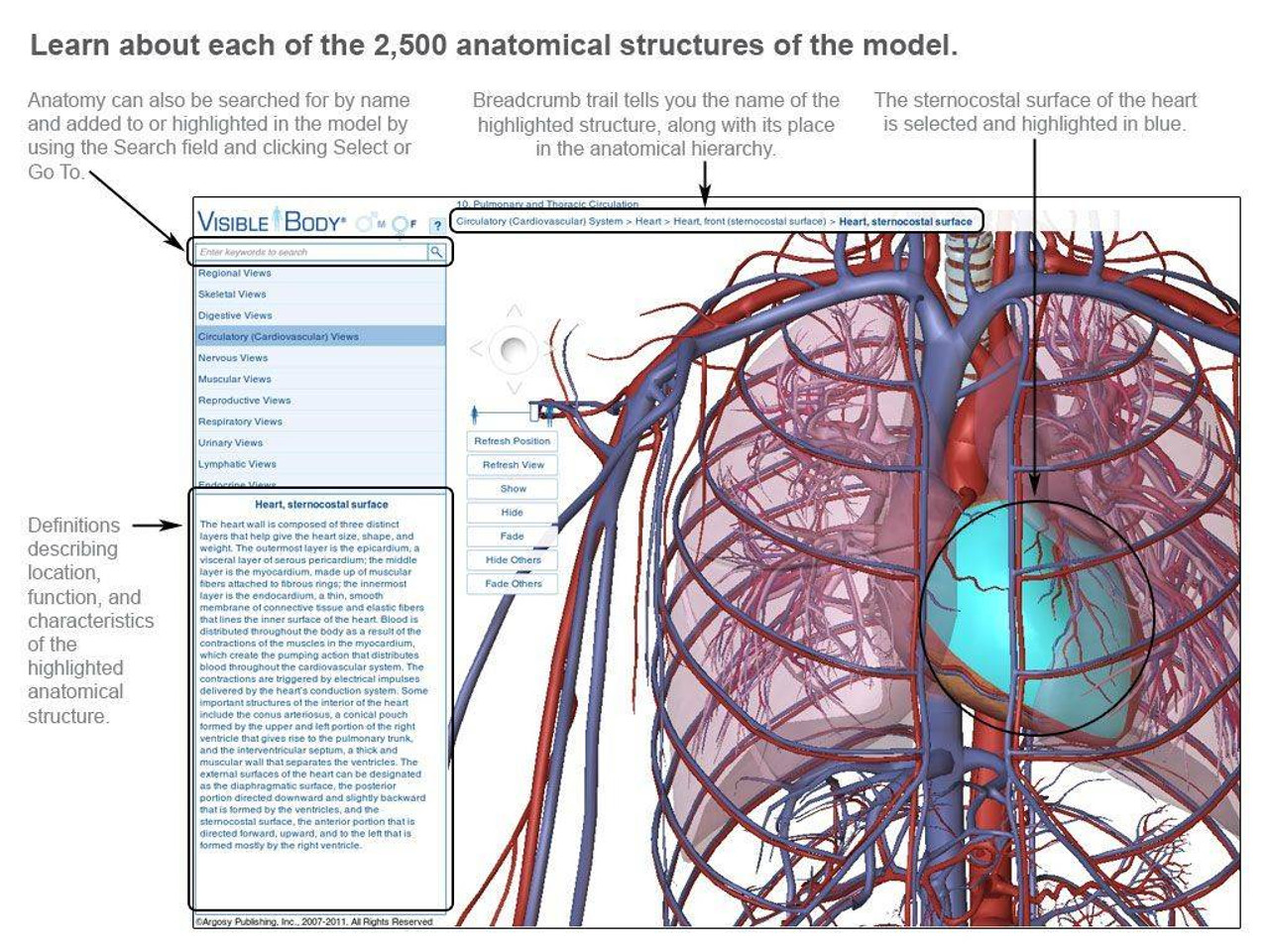 visible body 3d human anatomy atlas for mac free