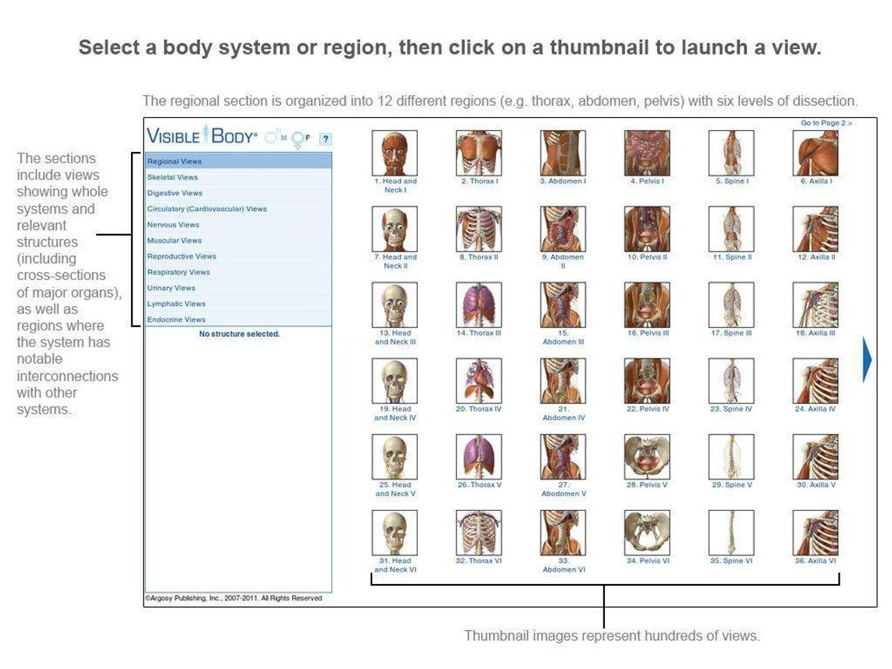 visible body app windows