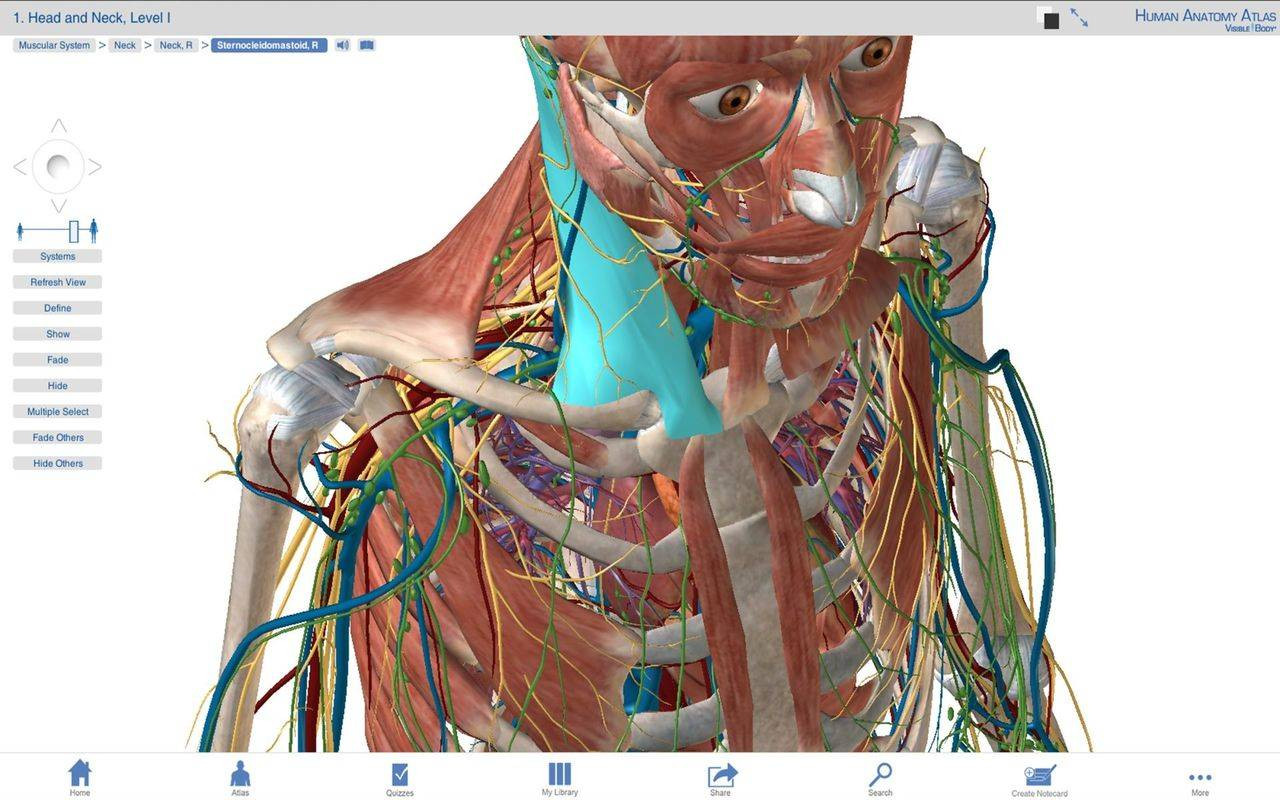 best 3d anatomy program for mac