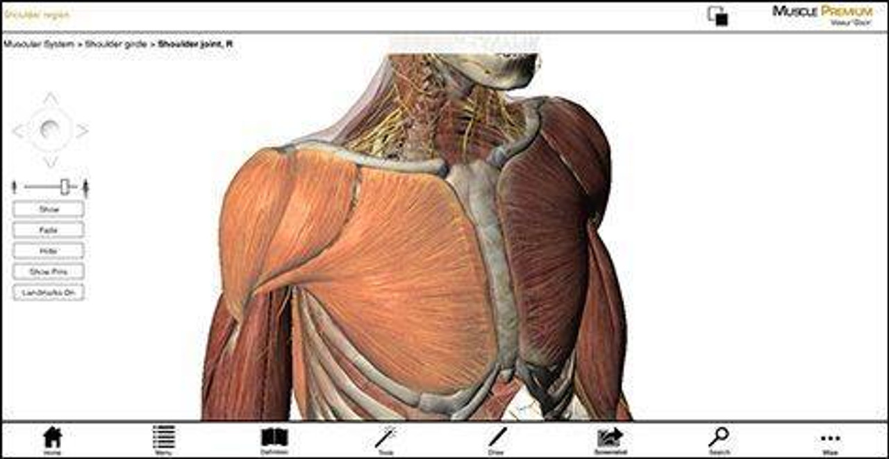 visible body torrent mac