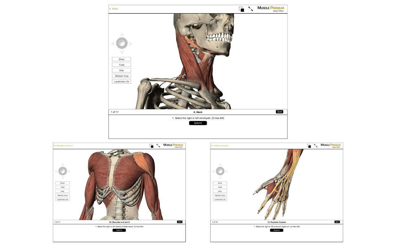 essential anatomy 3 mac