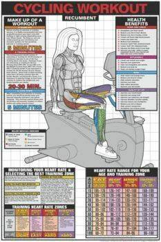 Anatomy Chart Recumbent Cycling Workout