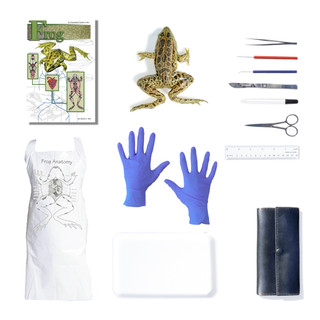 Frog Dissection Kit