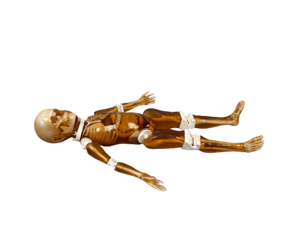 Pediatric 4-Year Old Full Body Phantom Model with Carry Case