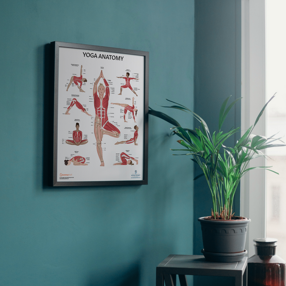 Anatomy Lab Yoga Laminated Poster 1