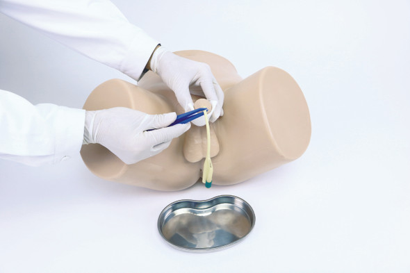 Anatomy Lab Male Catheterization Model with person interacting with the simulator