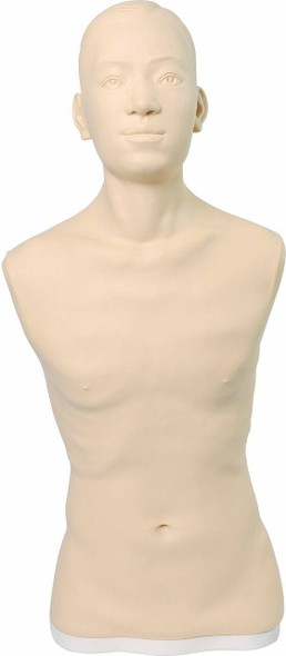 Male Mannequin Head and Shoulders