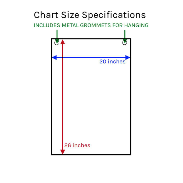 BMI and Waist Circumference Laminated Chart 1