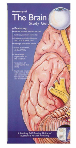 Illustrated Pocket Anatomy - Anatomy Of The Brain Study Guide - 2nd Edition