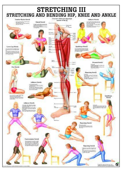 Stretching III Laminated Fitness Poster