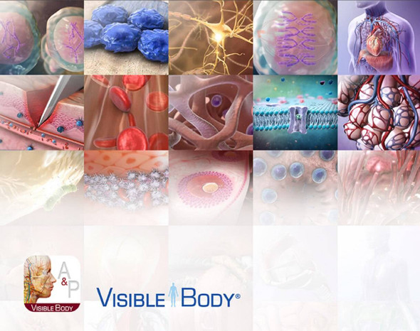 Visible Body Human Anatomy and Physiology Annual License PC or Mac Download