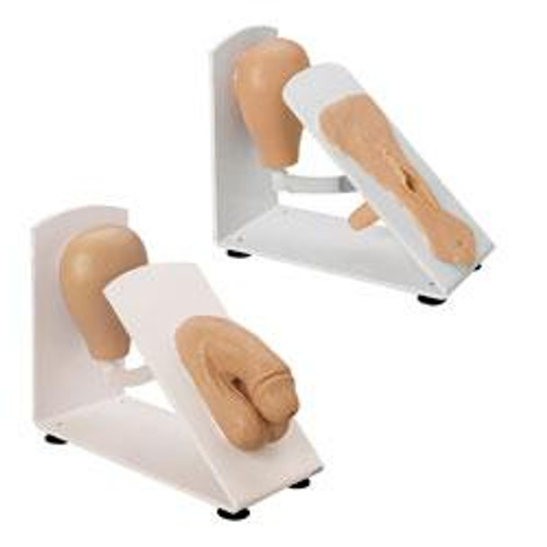 Male and Female Catheterization Trainer Set