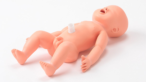 KOKEN Replacement Fetal Model for Obstetric Assistant Model Set